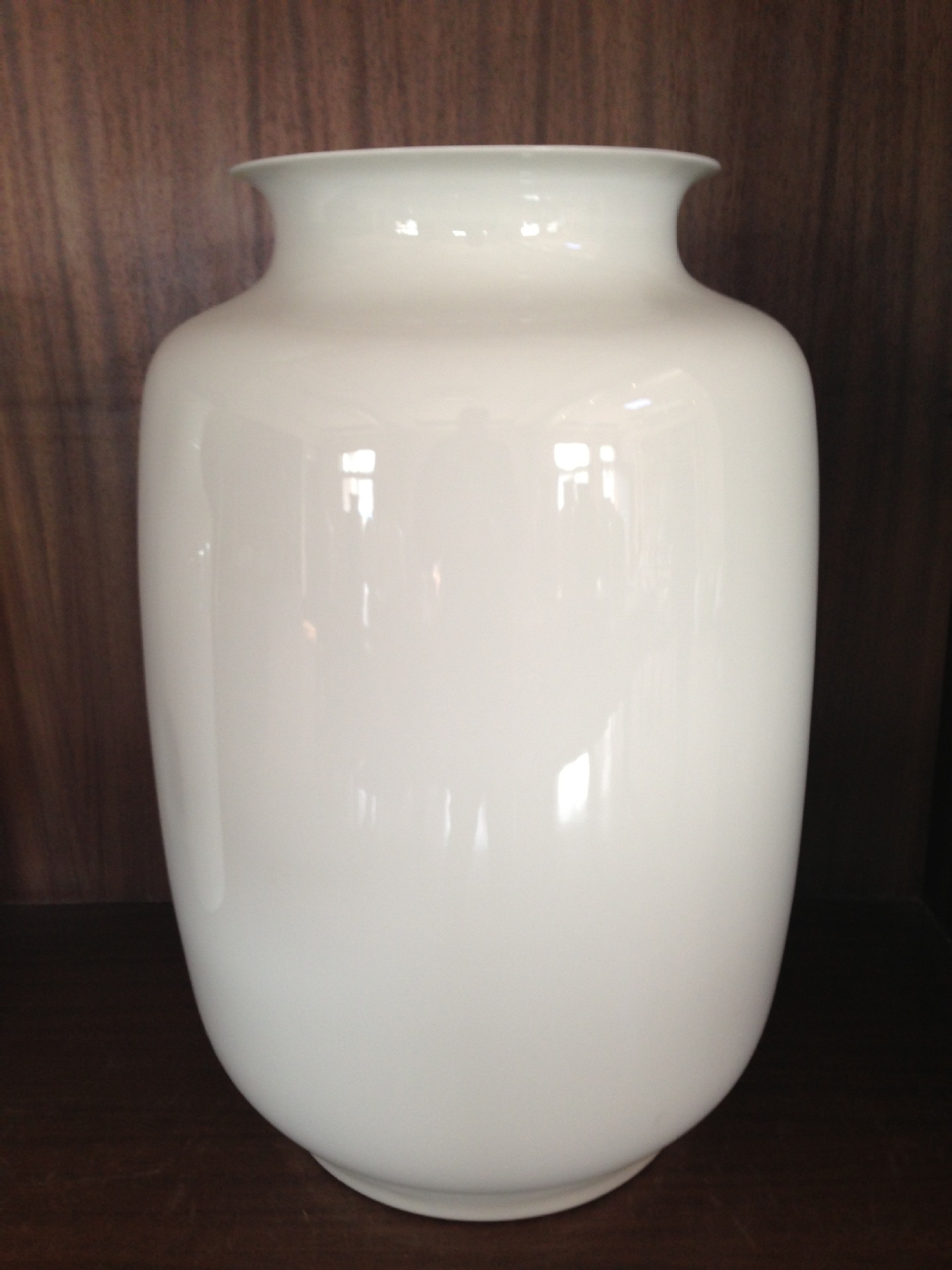 博陶瓷业供应白色高档骨瓷白胎,样式繁多,造型新颖,欢迎选购!图片,博