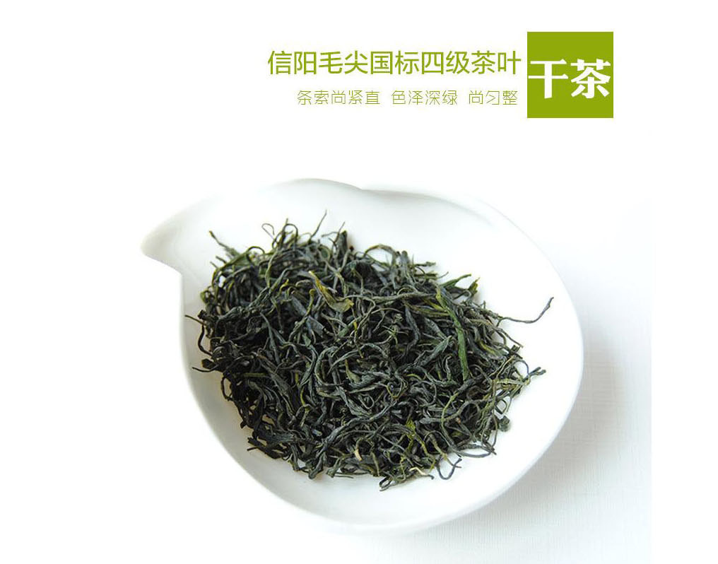 茶園大量批發信陽毛尖茶 清心養生 毛尖茶綠茶 毛尖茶三斤包郵