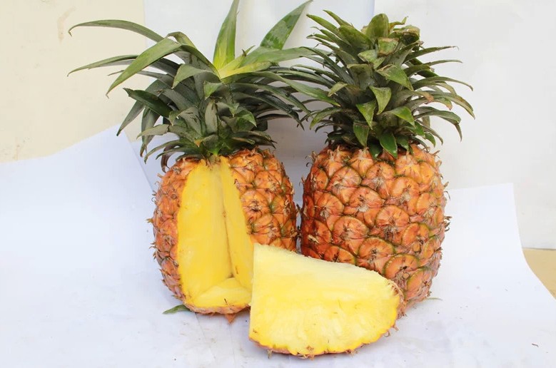 最新鲜水果特级程溪香菠萝10斤起包邮种植基地现摘直销批发