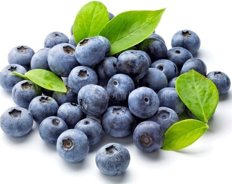 美国蓝莓鲜果 进口新鲜水果 热卖产品约3斤广东包邮 进口水果代 ,,1