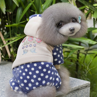 泰迪衣服 秋冬款