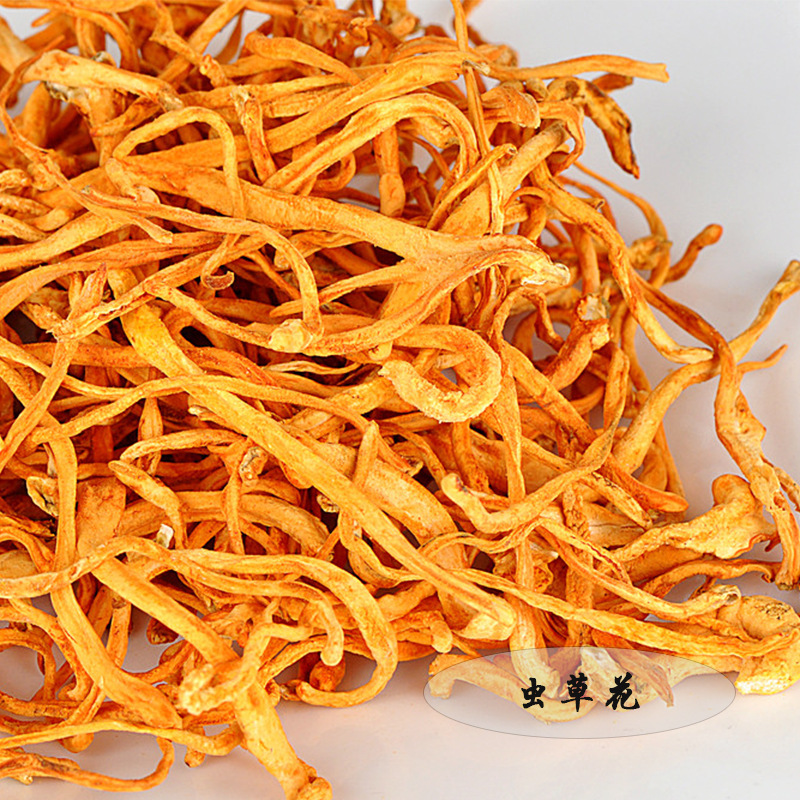 【荣光药业】 正品虫草花 孢子头北虫草 金虫草 特级虫草花批发