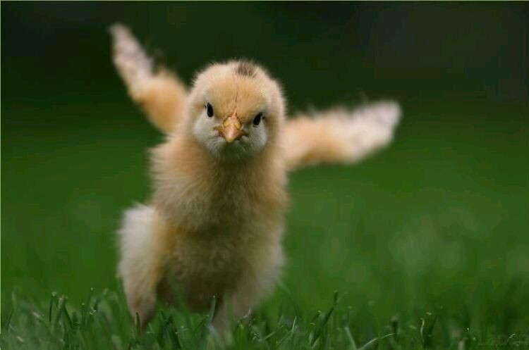 面对困局,各国解决方式流程