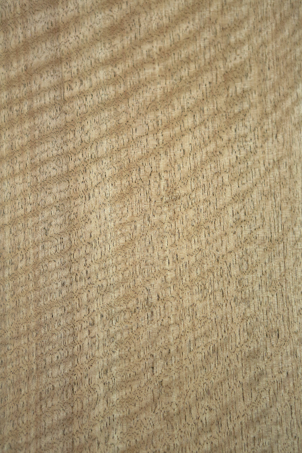 万江木业 天然红影木皮20s贴面皮