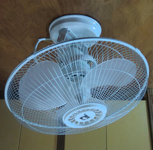 正品骆驼fd40-20楼顶扇360°度旋转吸顶扇吊扇工程扇宿舍扇批发