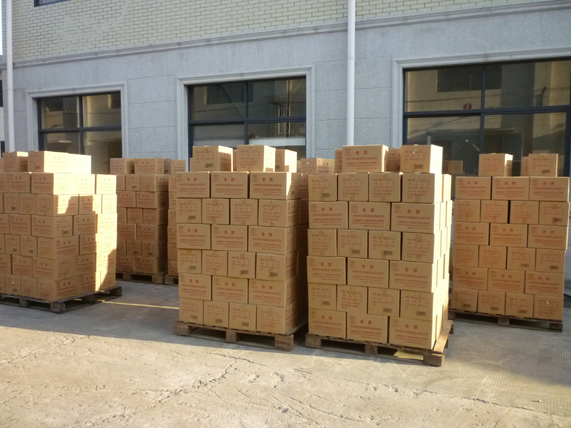 富春江牌清水冬笋 罐头 出口美国 fda认证 552g 24个/箱