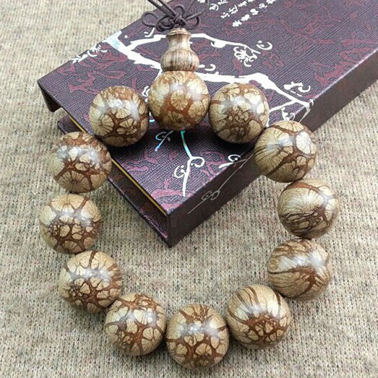 九龙仙腾 蜘蛛纹佛珠手串链降龙木中药 纯野生西瓜纹