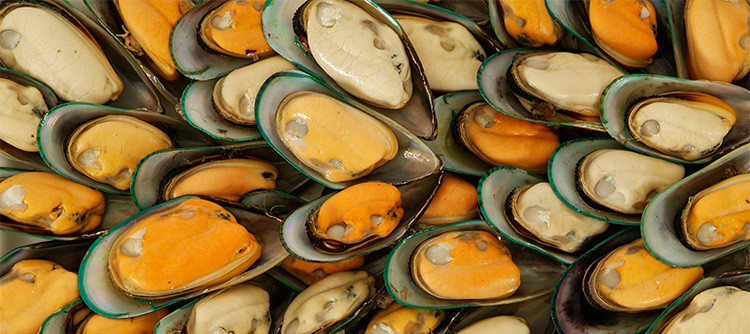 绿唇贝提取物 150元