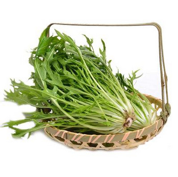 【汤山百年绿源】 源自天然无公害生态京水菜 400g