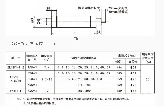 變壓器保護用高壓限流熔斷器xrnt112kv10abfgf直徑51