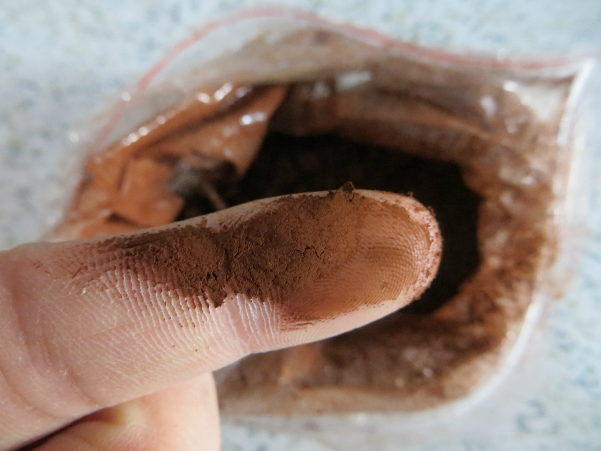 灵芝破壁孢子粉_灵芝破壁孢子粉价格