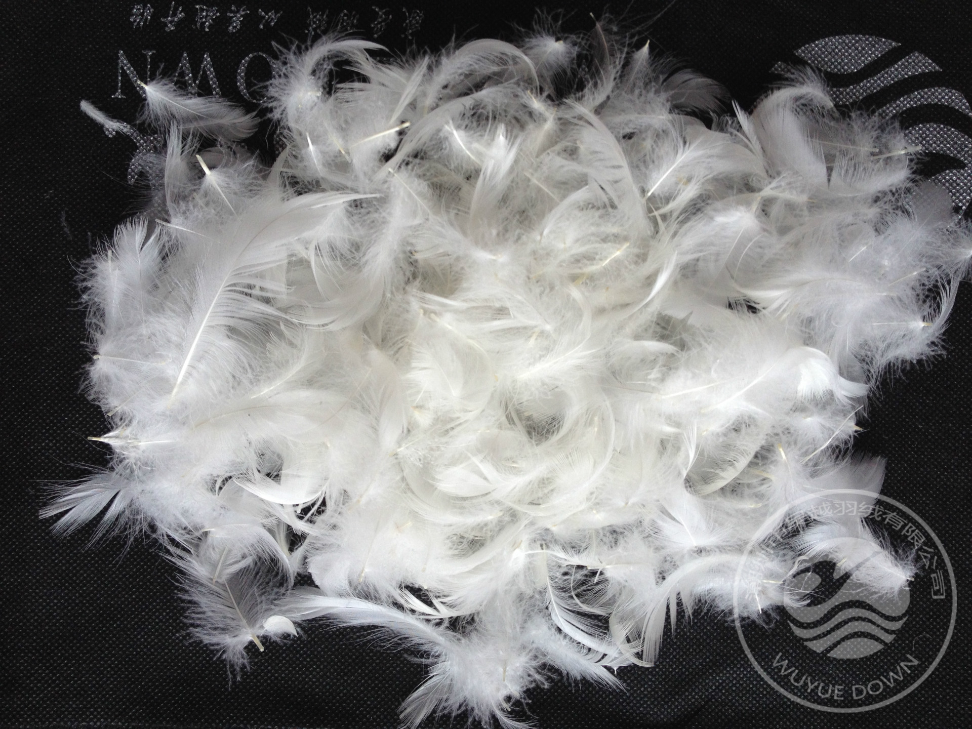 厂价批发直销46cm纯白鸭毛片feather欧美日标国标羽绒羽毛