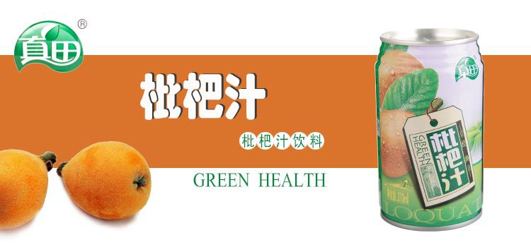 灌装(真田)枇杷汁饮品310ml*12听 经典饮料