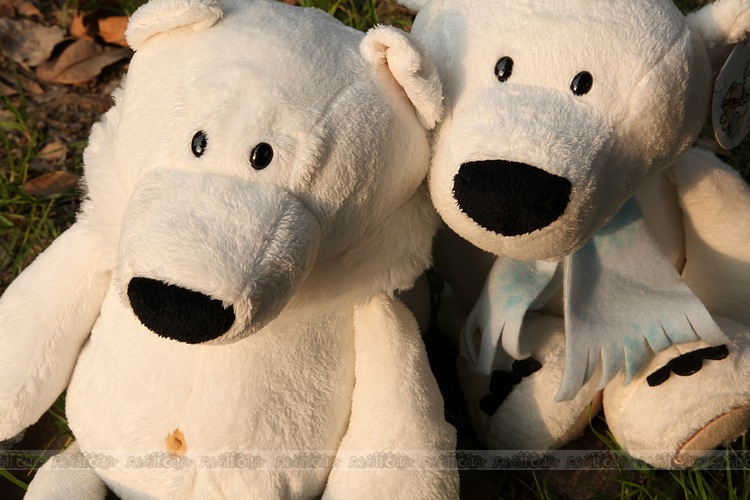 德国nici 情侣北极熊 围巾熊带帽熊情侣款 特价直销价 低价特卖