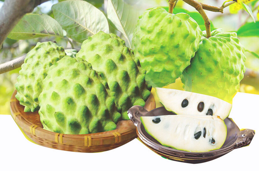 现货 释迦 新鲜进口台湾 释迦果 番荔枝 佛头果 一件15个