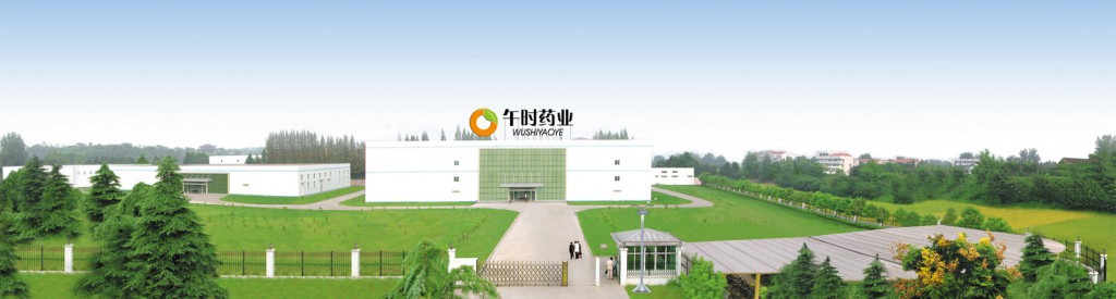 供应中成药午时药业藿香正气水全国招商