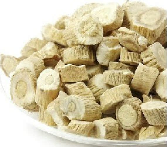 中药材批发 板蓝根 靛青根 蓝靛根 大青根 清热解毒 凉血消肿