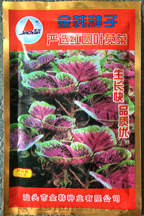 红圆叶苋菜种子/一点红苋菜种/大红圆叶苋菜种/蔬菜种子批发