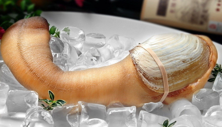 低价批发 特大深海新鲜速冻象拔蚌  日本料理材料 供应酒店