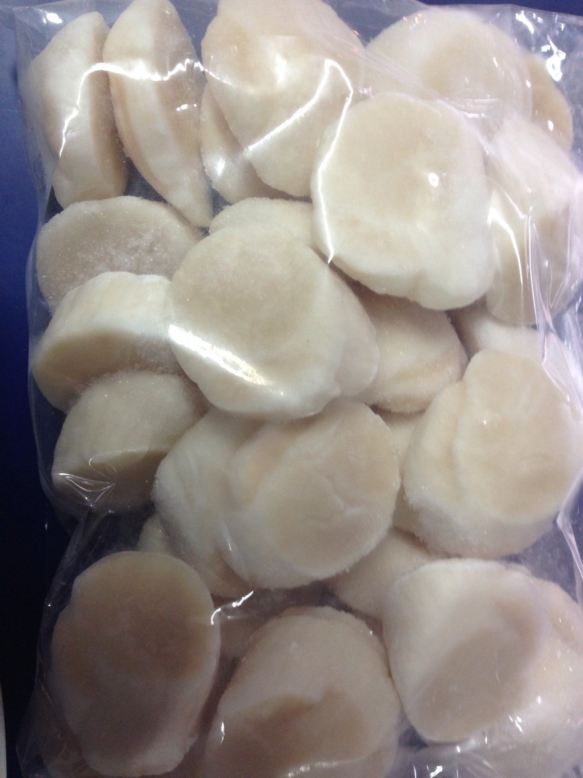 冷冻大扇贝 贝壳肉 冷冻海鲜 水产鲜活 烧烤食材 冷冻扇贝肉