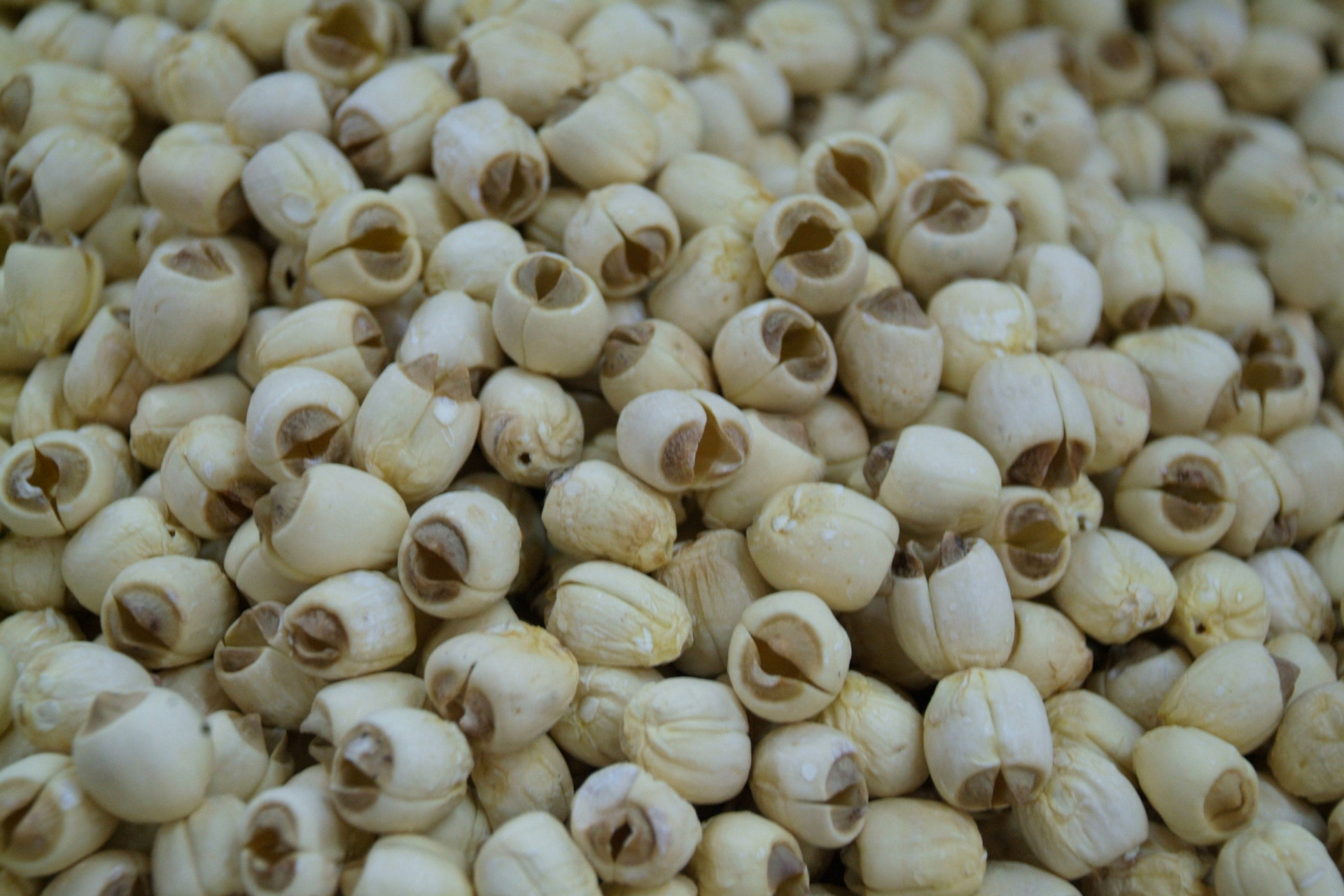 福建特产 厂家批发直销 白莲子 莲中极品建宁超大莲子 53.9元一斤