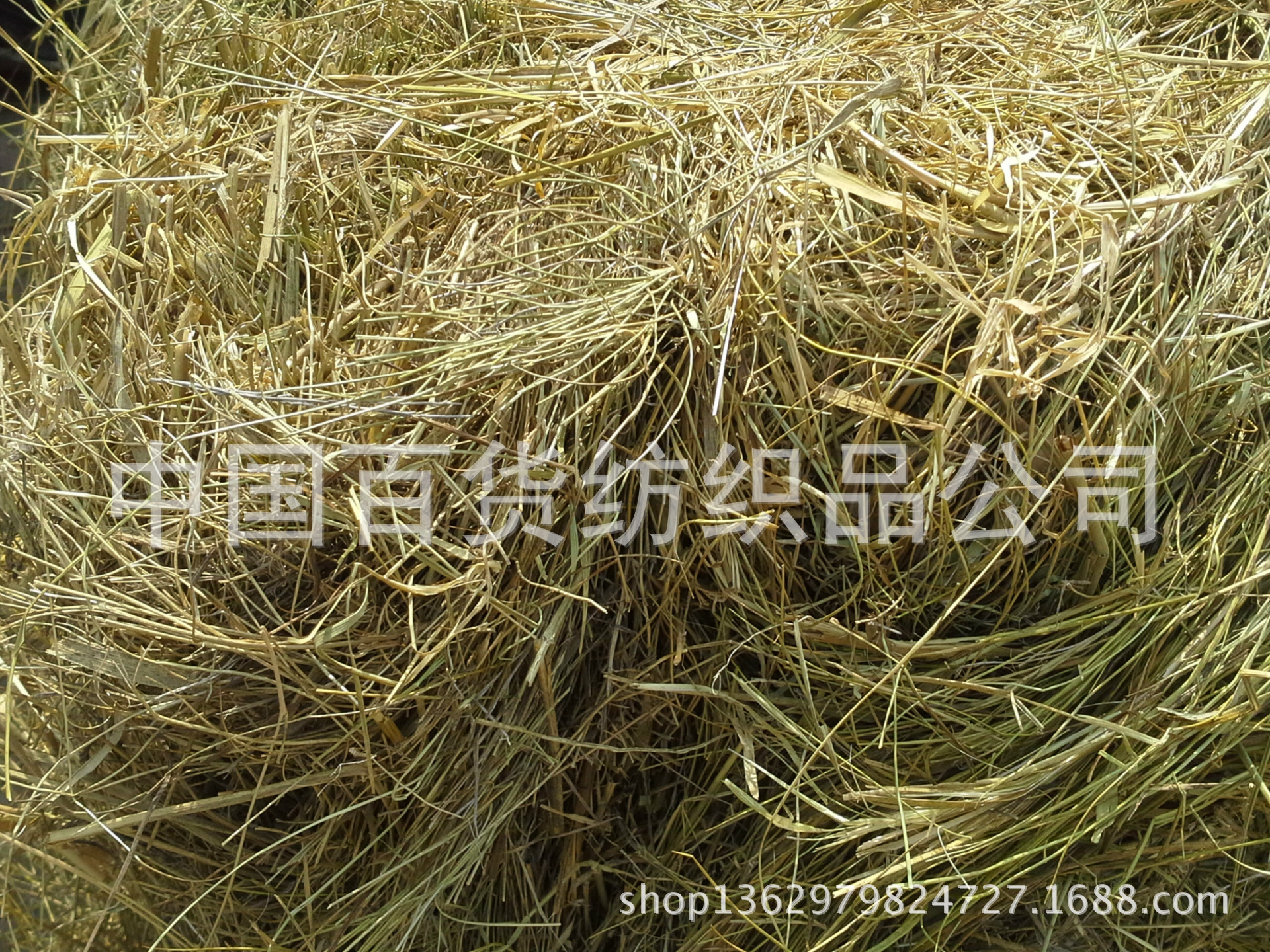 零售 内蒙古优质羊草