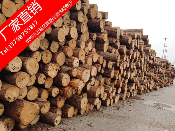 批发进口欧洲白松 白松原木定尺加工