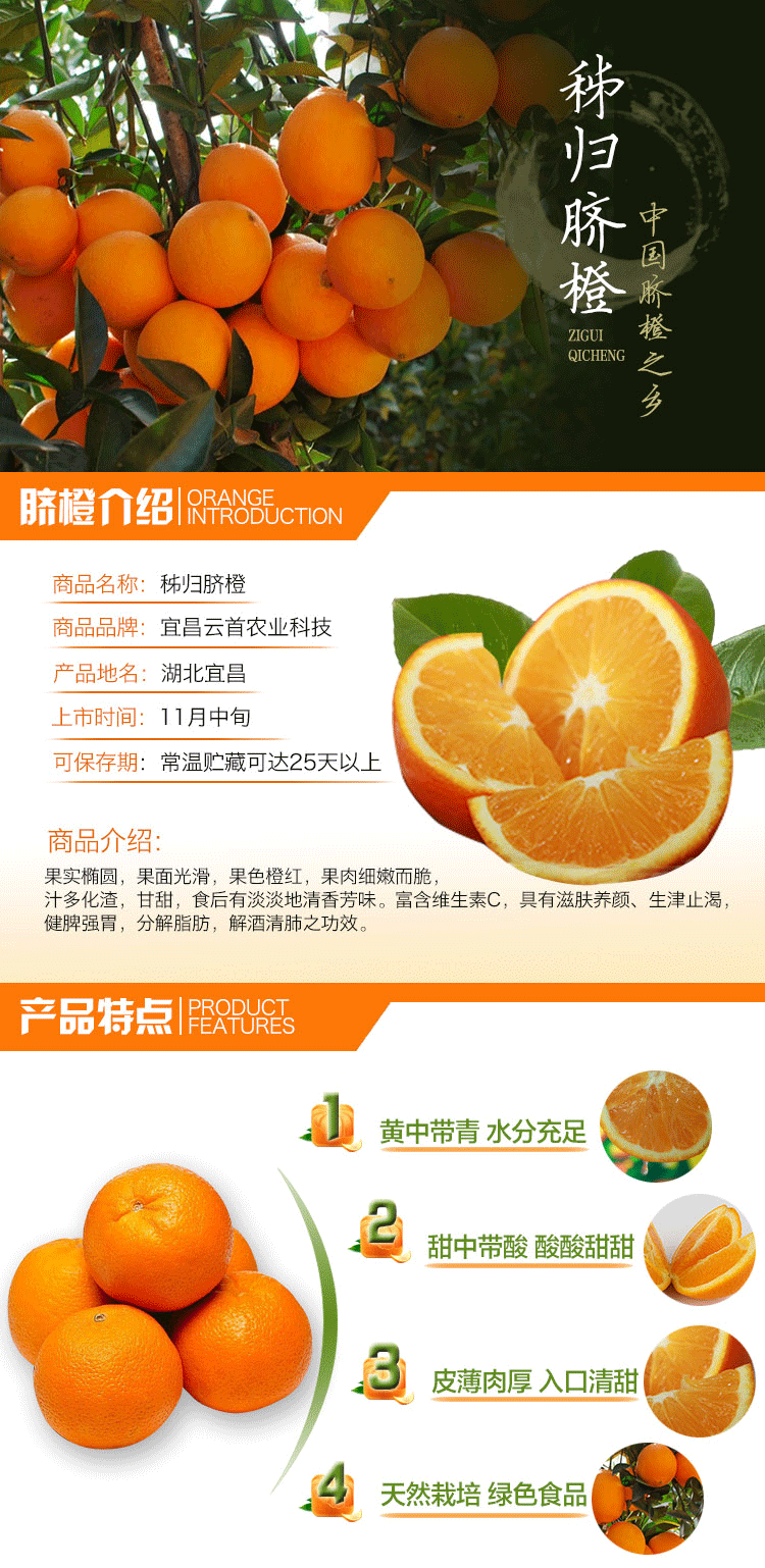 橙子种类及图片介绍图片