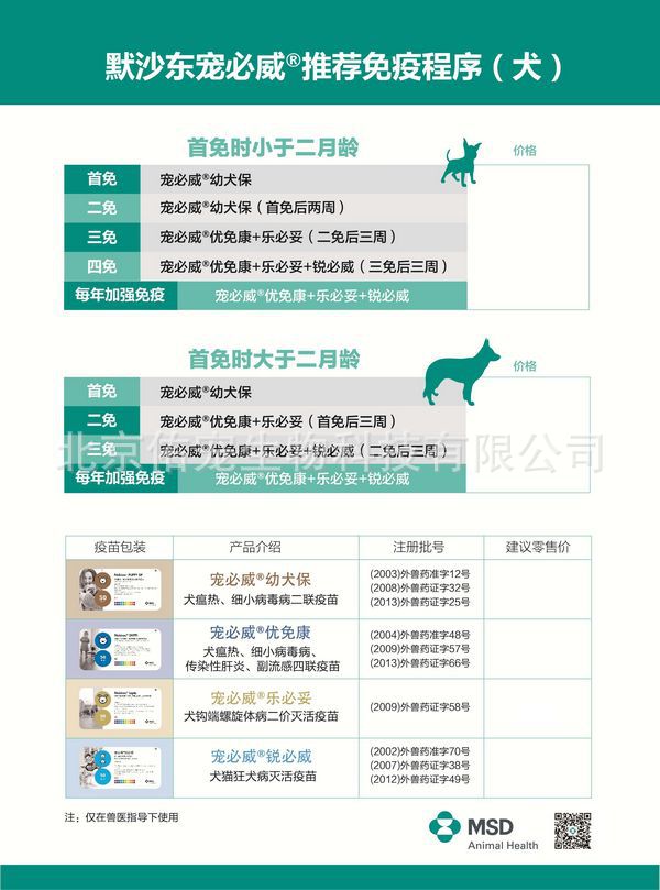 犬瘟热的治疗方法图片