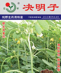 羊角豆