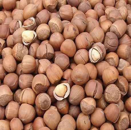 【【批发销售】【土特产休闲食品】/平榛子】价格,厂家,图片,坚果炒货