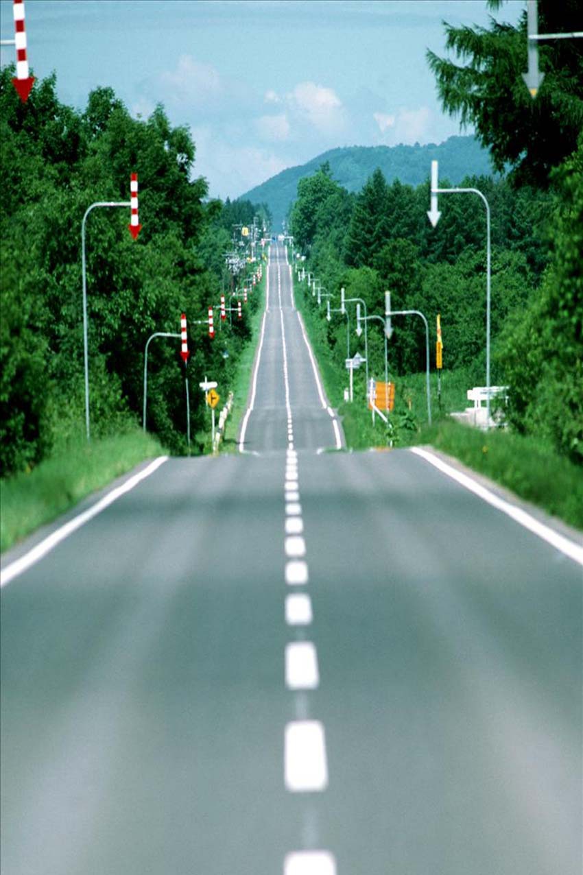 新款摄影背景布背景纸 拍照主题背景 婚纱照相背景布 服装拍照