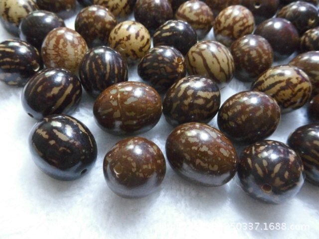 菩提根不是树根,而是一种叫做贝叶棕的种子,那种植物几十年开花结果