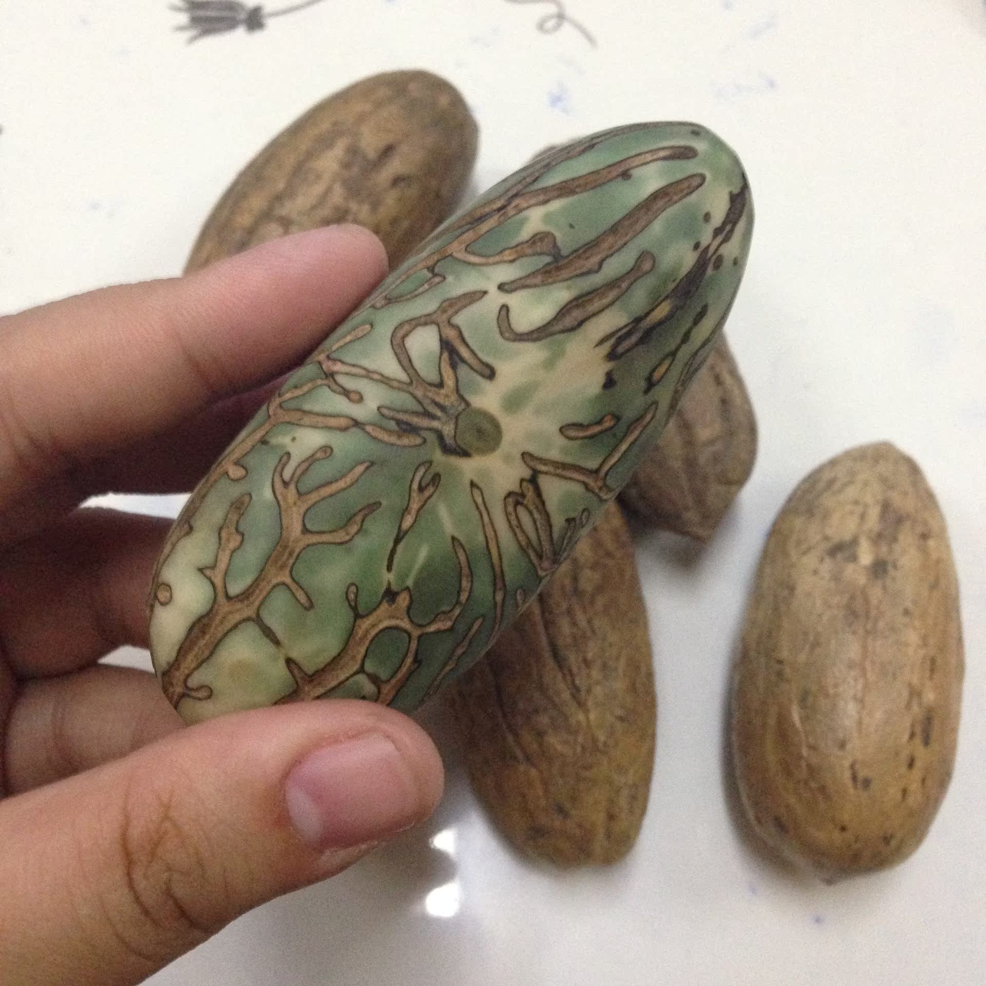 非洲极品千眼菩提手串20mm 原色灯笼形 文玩收藏必备次品包赔