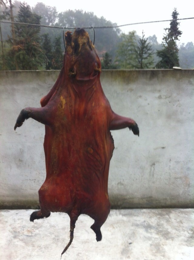 其他特种养殖动物-拱猪 烟熏野味 供应优质猪肉,仿生态养殖,野味浓郁