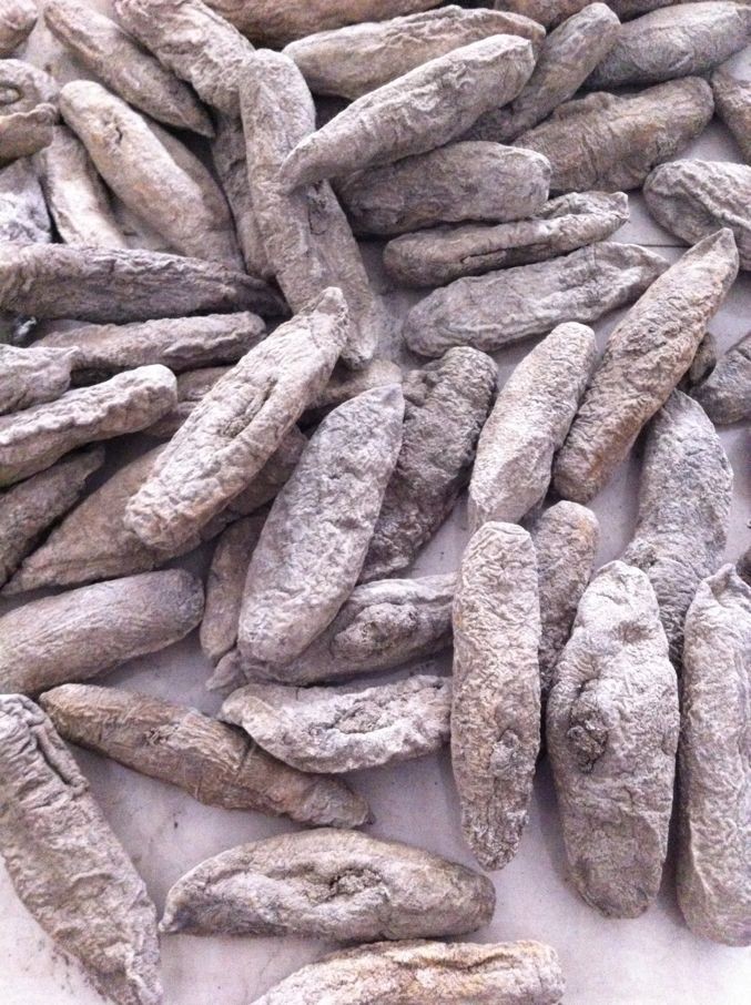 茄参 泥巴参 价格低廉 营养丰富 大量批发