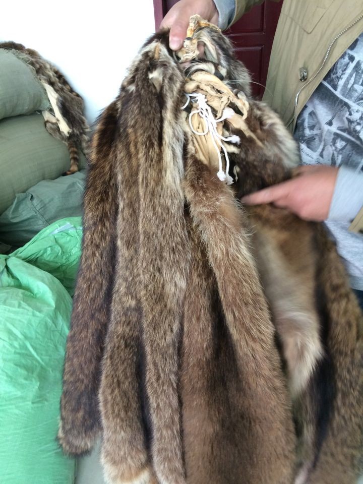 狐狸毛皮批发：时尚与实用的选择