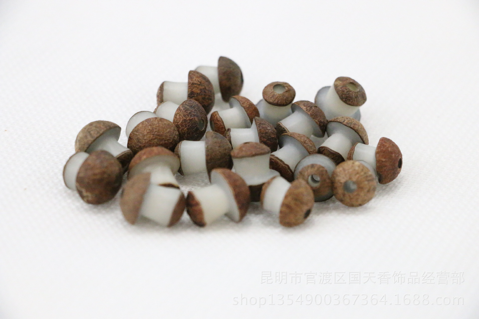 菩提根不是树根,而是一种叫做贝叶棕的种子,那种植物几十年开花结果