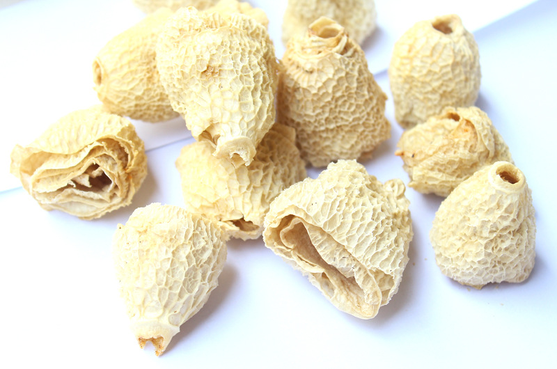 厂家长期现货供应批发 竹毛肚 竹胎儿 竹荪蛋 长裙竹荪 食用菌