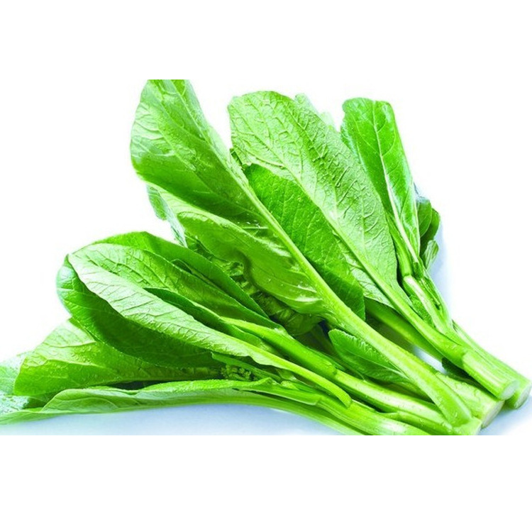 新鲜蔬菜厂家直销 无公害菜心 家庭小炒必备青菜 量大北京可送货
