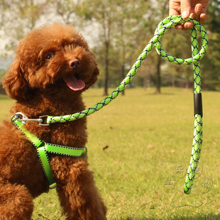 宠物用品批牵引绳胸背带小狗狗牵引带胸背套中小型犬狗绳子狗链子
