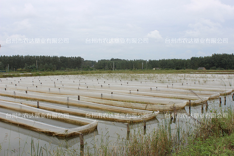 水蛭无土立体养殖
