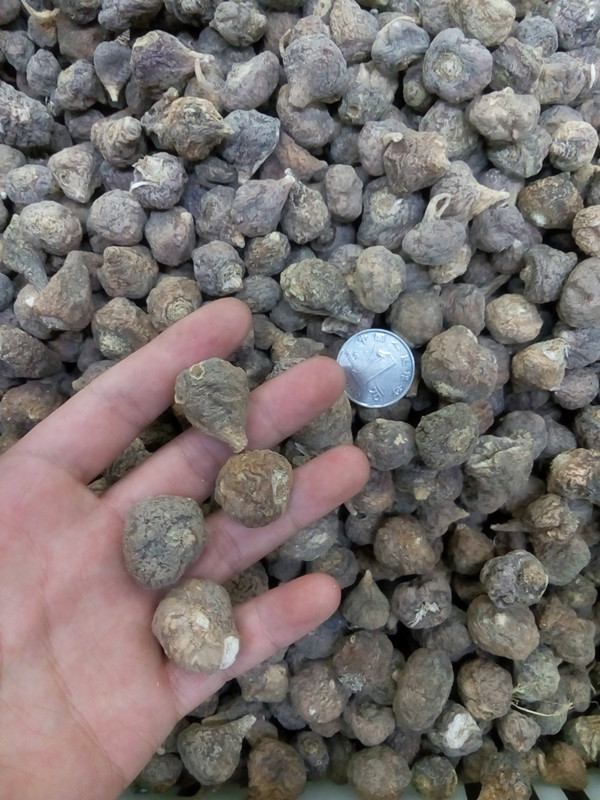 供应进口玛咖干果 精选秘鲁小玛卡瓶装非云南丽江滋补保健品