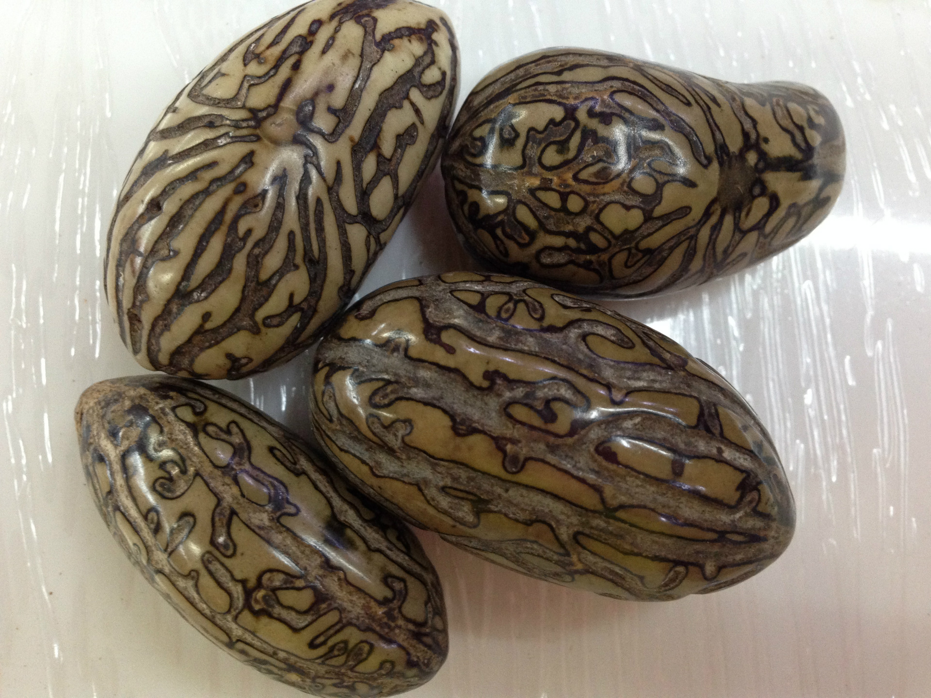 【至潮佛珠】批发菩提原籽原料千眼菩提子通货原果千眼菩提籽原籽千眼