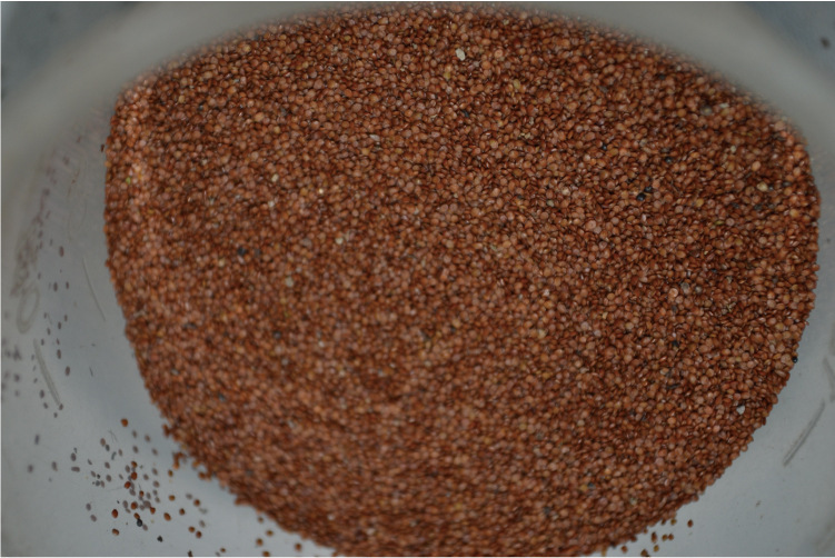 海藻面膜颗粒 小颗粒海藻面膜 天然海藻粉 海藻面膜 厂家批发海藻