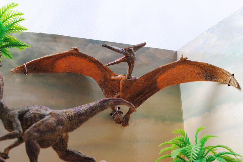 供应仿真翼龙玩具sm200132 仿真恐龙模型