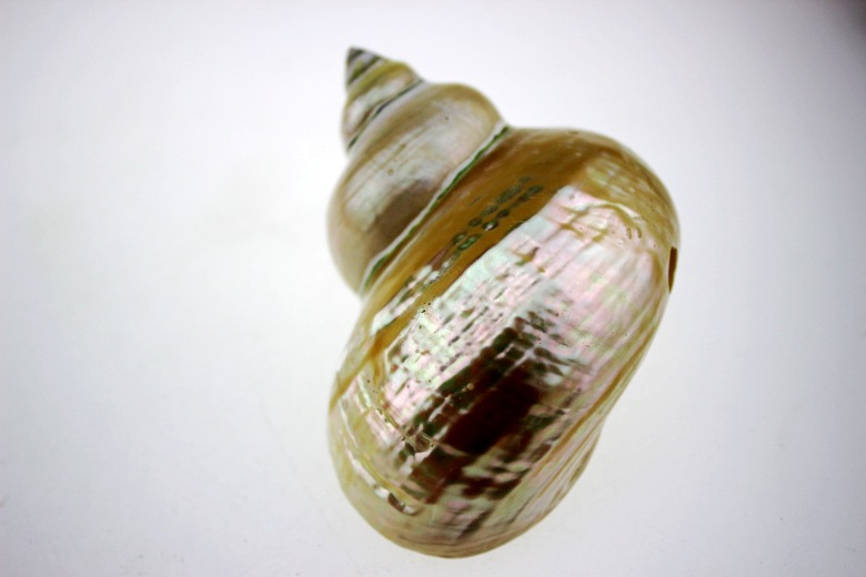 我厂邮政银行卡已丢失,请各位知悉.打款前,请务必跟客户人员沟通!