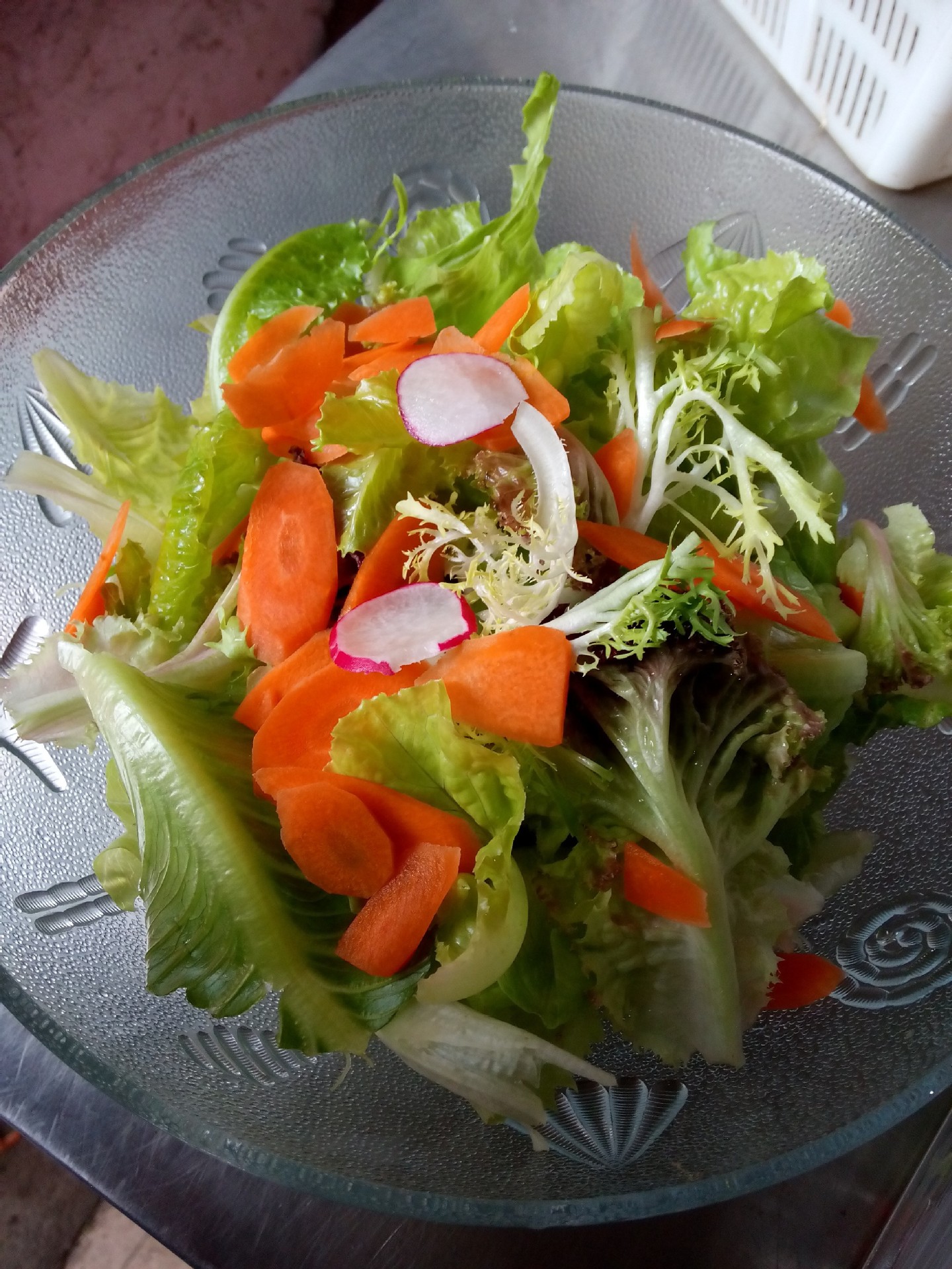 混合生菜 厦门生菜 时尚饮食生活 常年供应批发零售沙拉菜 蔬菜