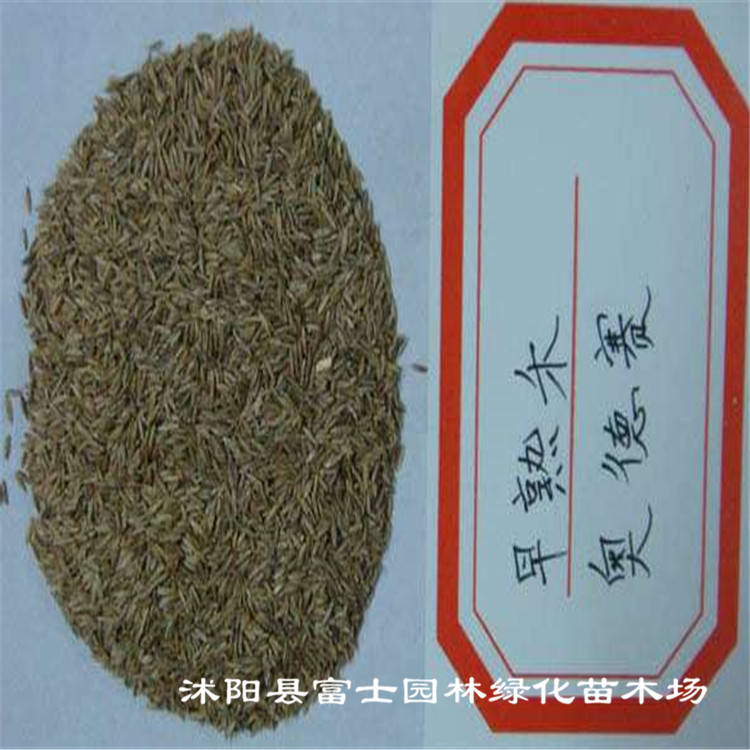 花卉种苗助力绿色生活