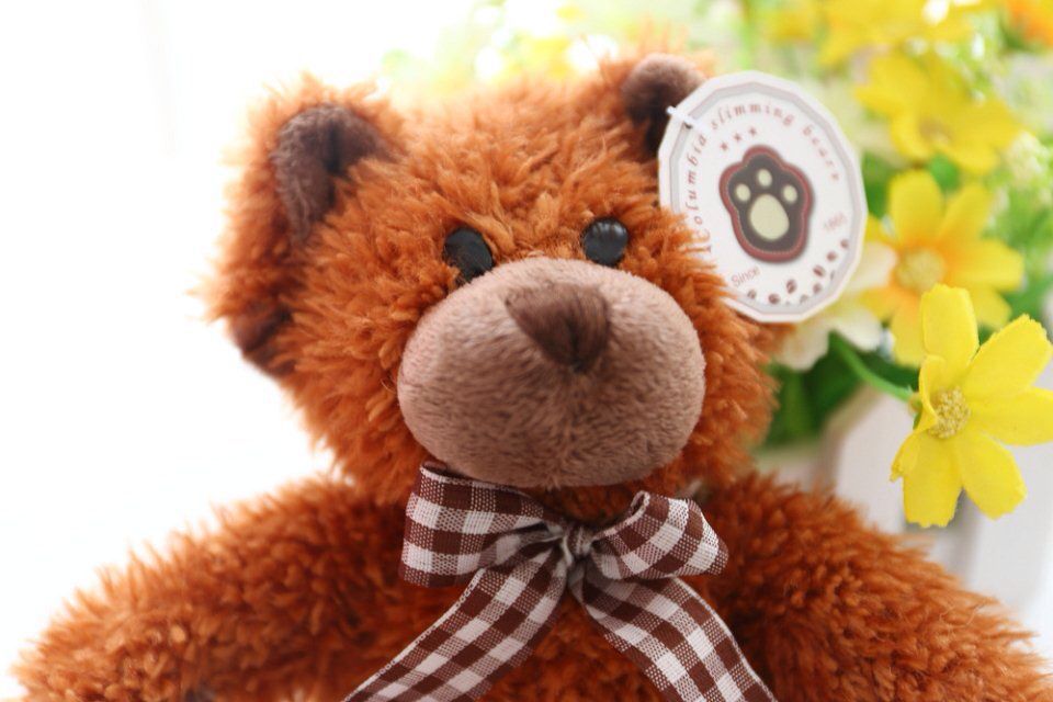 预售哥伦比亚咖啡熊 coffee bear 健康熊 蜘蛛侠熊招代理